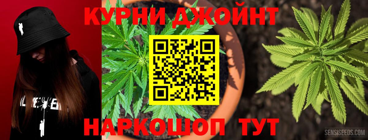 МАРИХУАНА план Губкинский